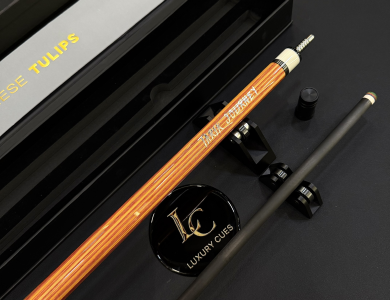 Gậy Bida Lỗ Tarik WE-H4 -Ngọn Full Carbon Cassadin Cao Cấp