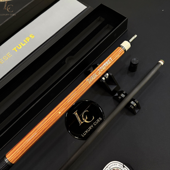 Gậy Bida Lỗ Tarik WE-H4 -Ngọn Full Carbon Cassadin Cao Cấp